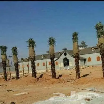 شبك مزارع القصيم 44