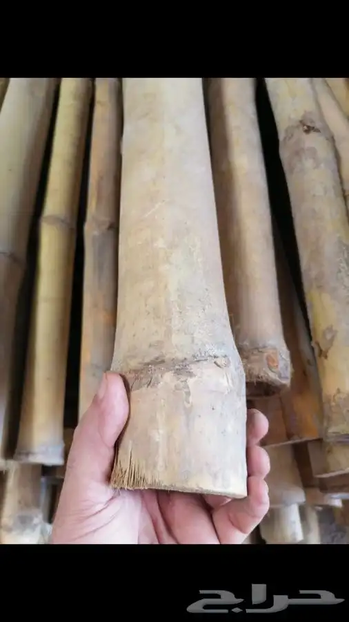 حسير خيزران بامبو 5