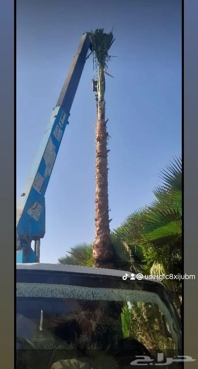 شبك مزارع القصيم 30