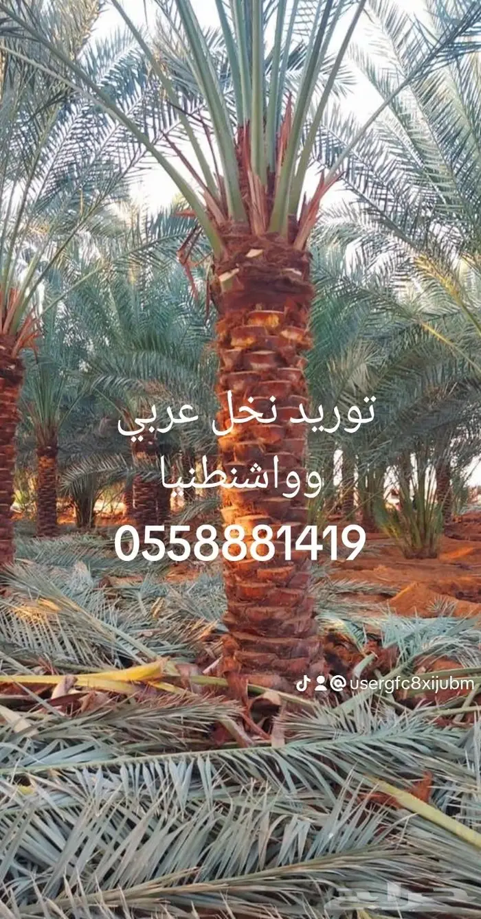 شبك مزارع القصيم 33