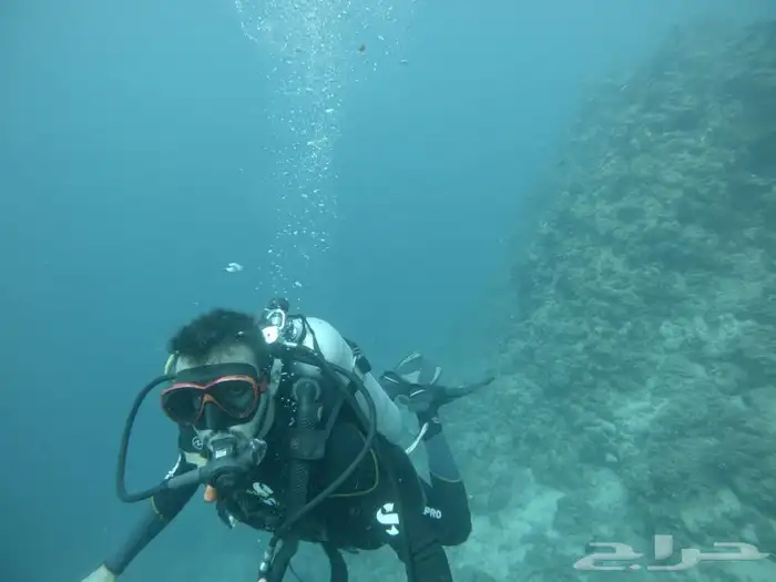 دورات وتجربة الغوص 4