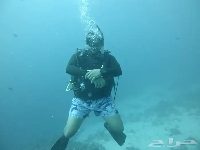 دورات وتجربة الغوص 0