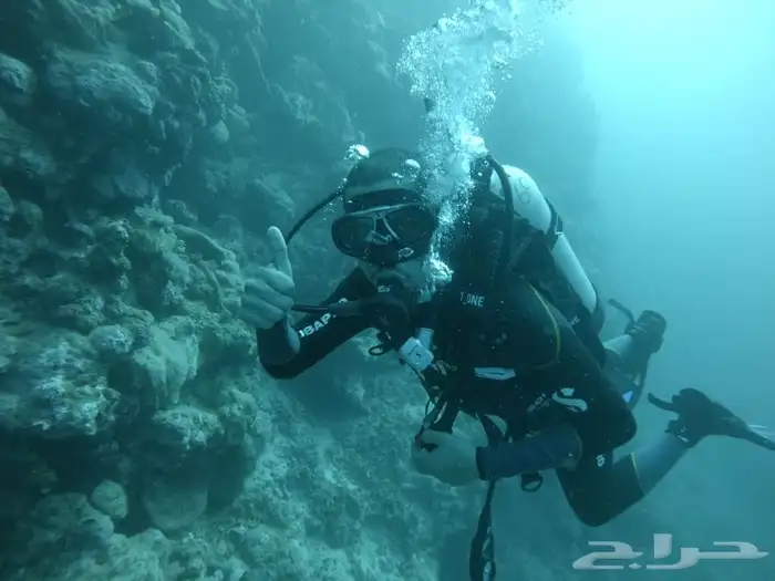 دورات وتجربة الغوص 6