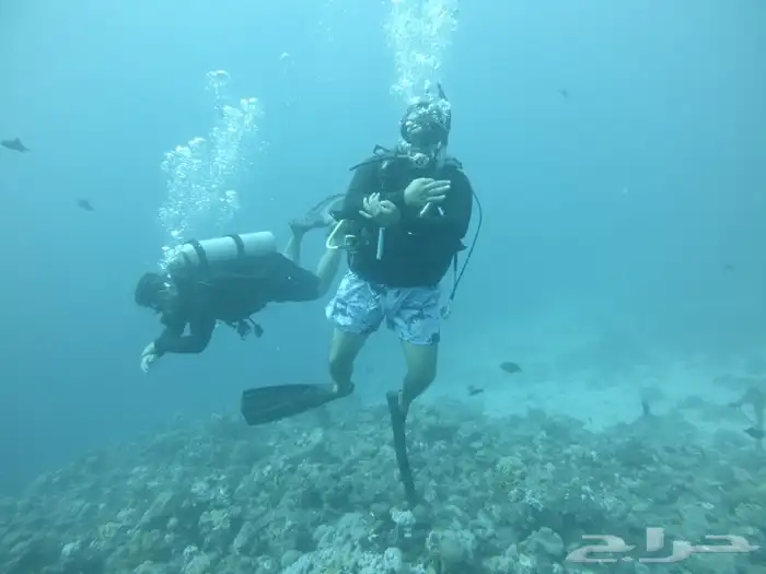 دورات وتجربة الغوص 1