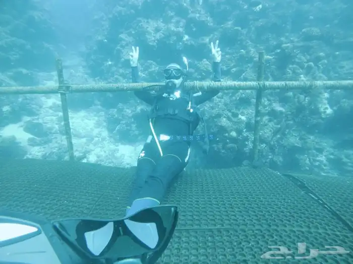 دورات وتجربة الغوص 3