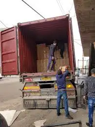 التاجر يستورد من الصين عشان يربح اكثر 1