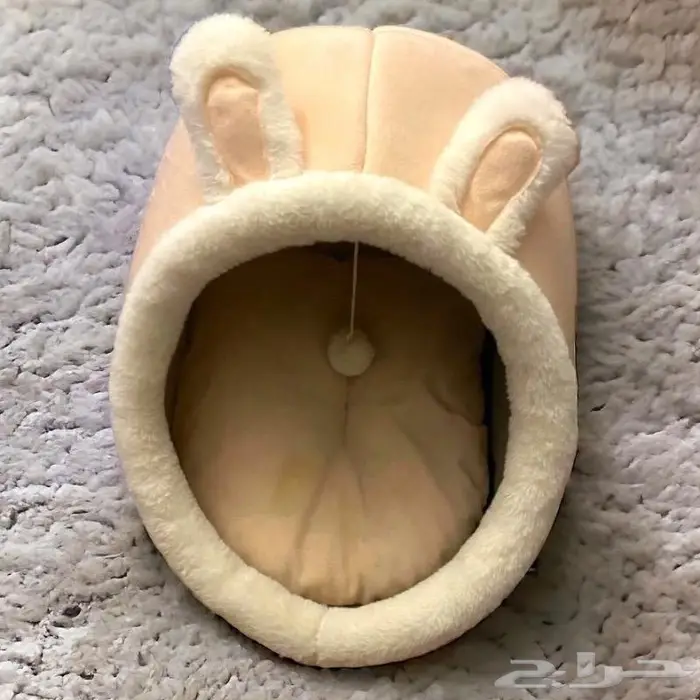 بيت للكلب والقط جديد 1