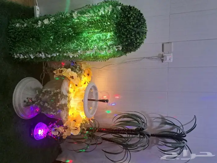 نافورة الكأس 2