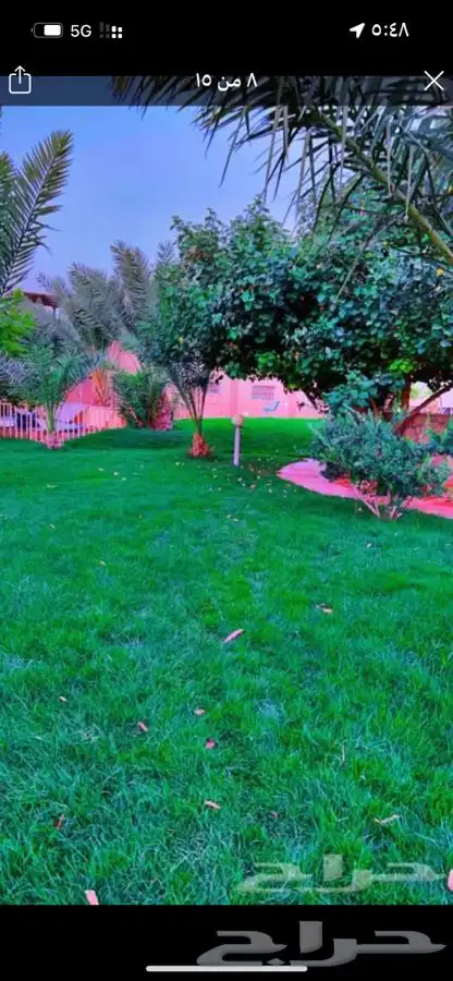 مزرعه عبق البيلسان 3