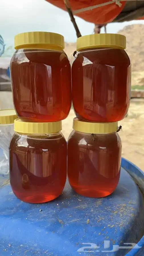 عسل طبيعي 100 ريال فقط يابلاش 0