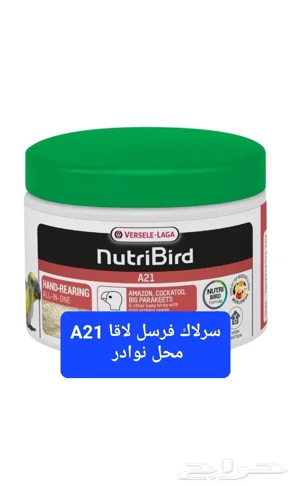 مستلزمات فروخ غر محل نوادر خميس مشيط 19