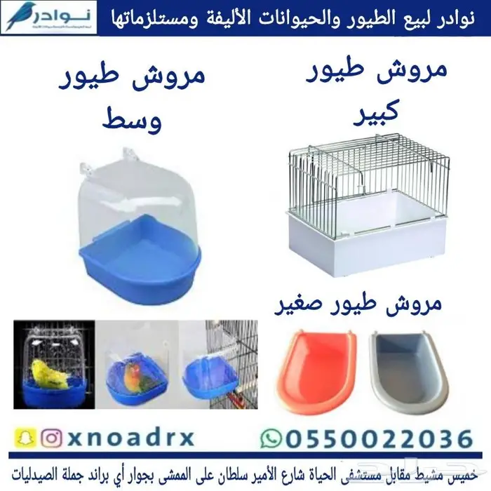 مستلزمات فروخ غر محل نوادر خميس مشيط 4