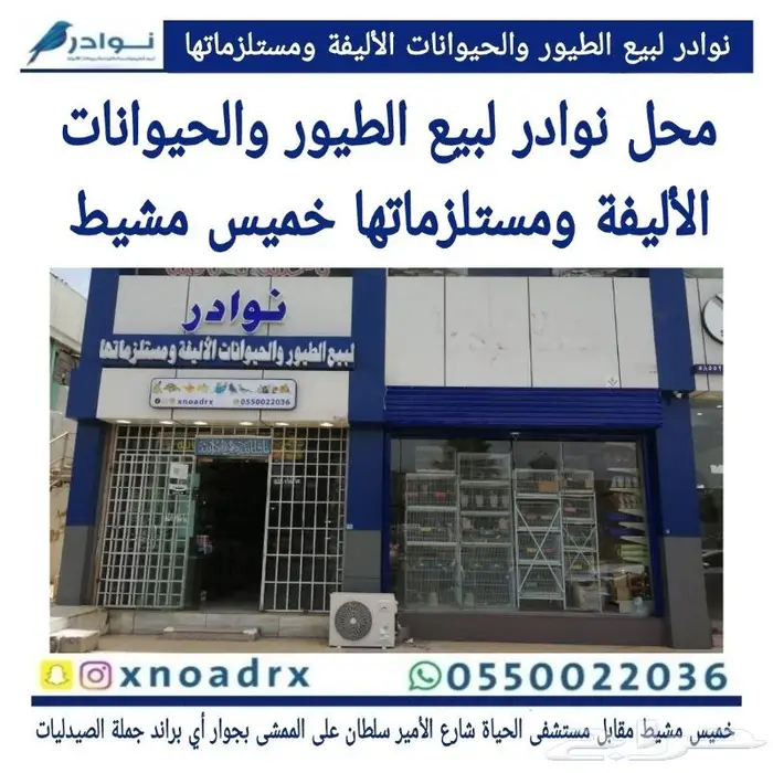 مستلزمات فروخ غر محل نوادر خميس مشيط 6