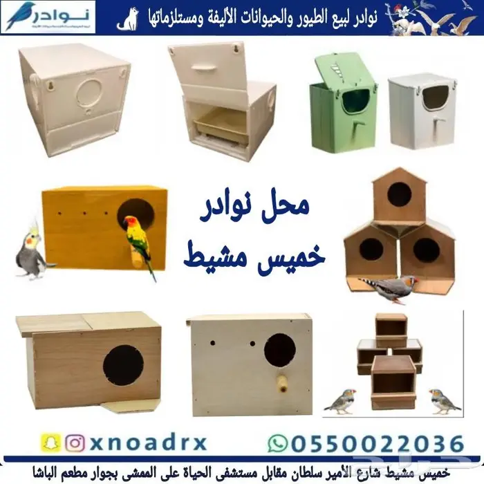 مستلزمات فروخ غر محل نوادر خميس مشيط 7