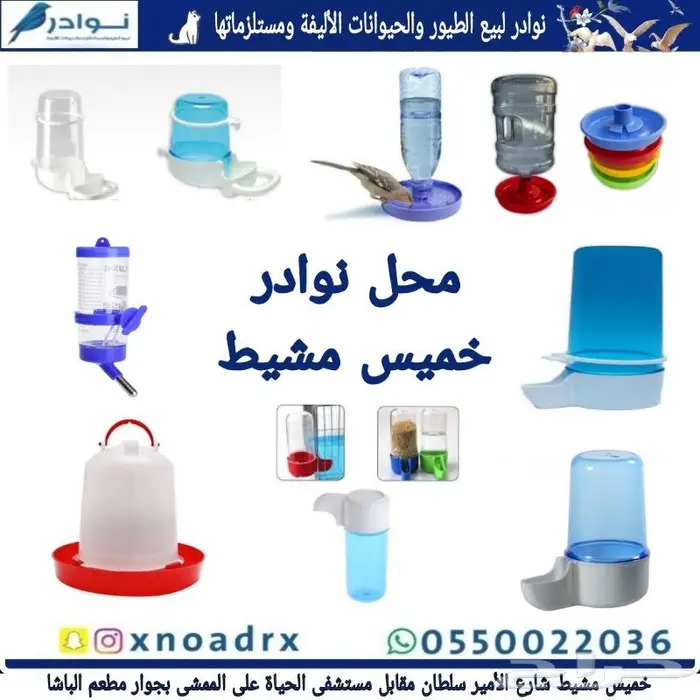 مستلزمات فروخ غر محل نوادر خميس مشيط 9