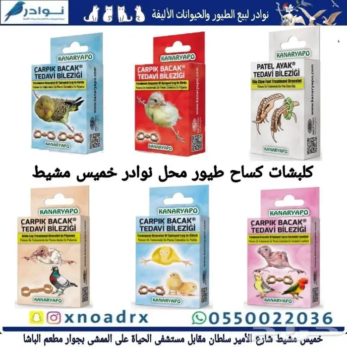 مستلزمات فروخ غر محل نوادر خميس مشيط 13