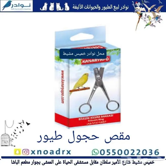 مستلزمات فروخ غر محل نوادر خميس مشيط 14