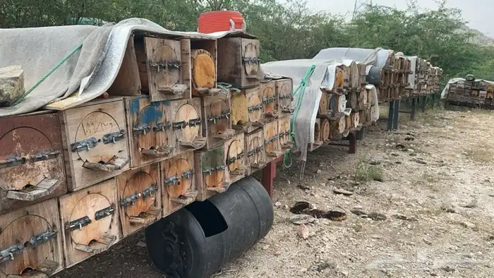 عسل طبيعي 100 ريال فقط يابلاش 1