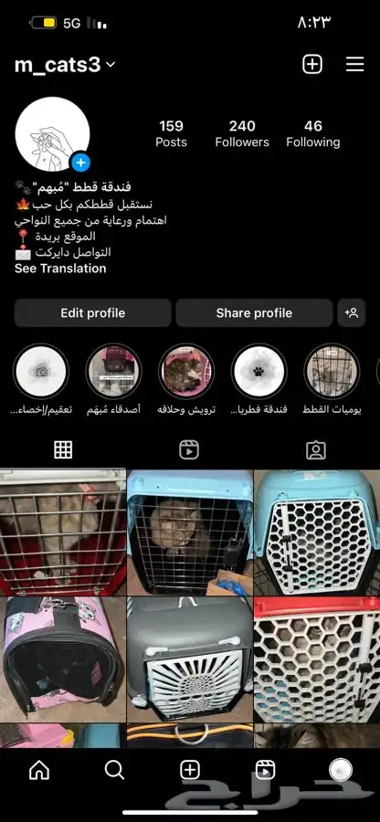 فندقة قطط ببريدة 3