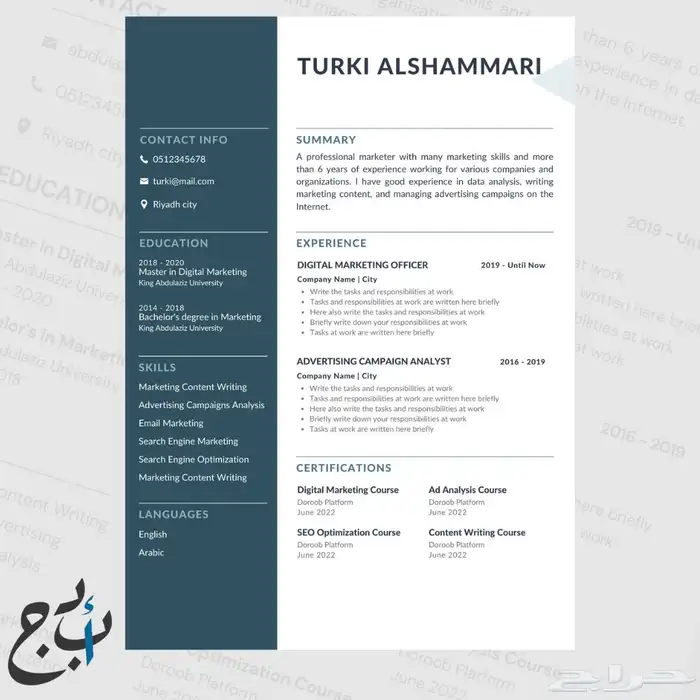 تصميم سيرة ذاتية احترافية CV ATS 3