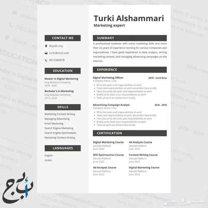 تصميم سيرة ذاتية احترافية CV ATS 5