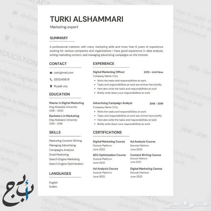 تصميم سيرة ذاتية احترافية CV ATS 0