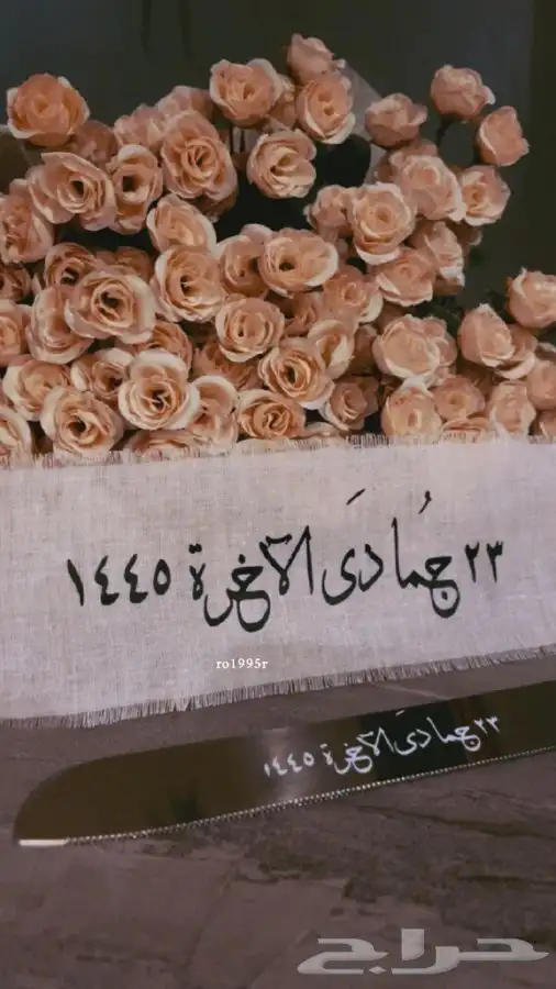 طباعه على صحون الملكة والشرايط واكثر 1