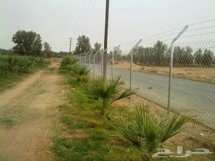سعر شبك المزارع جدة 49