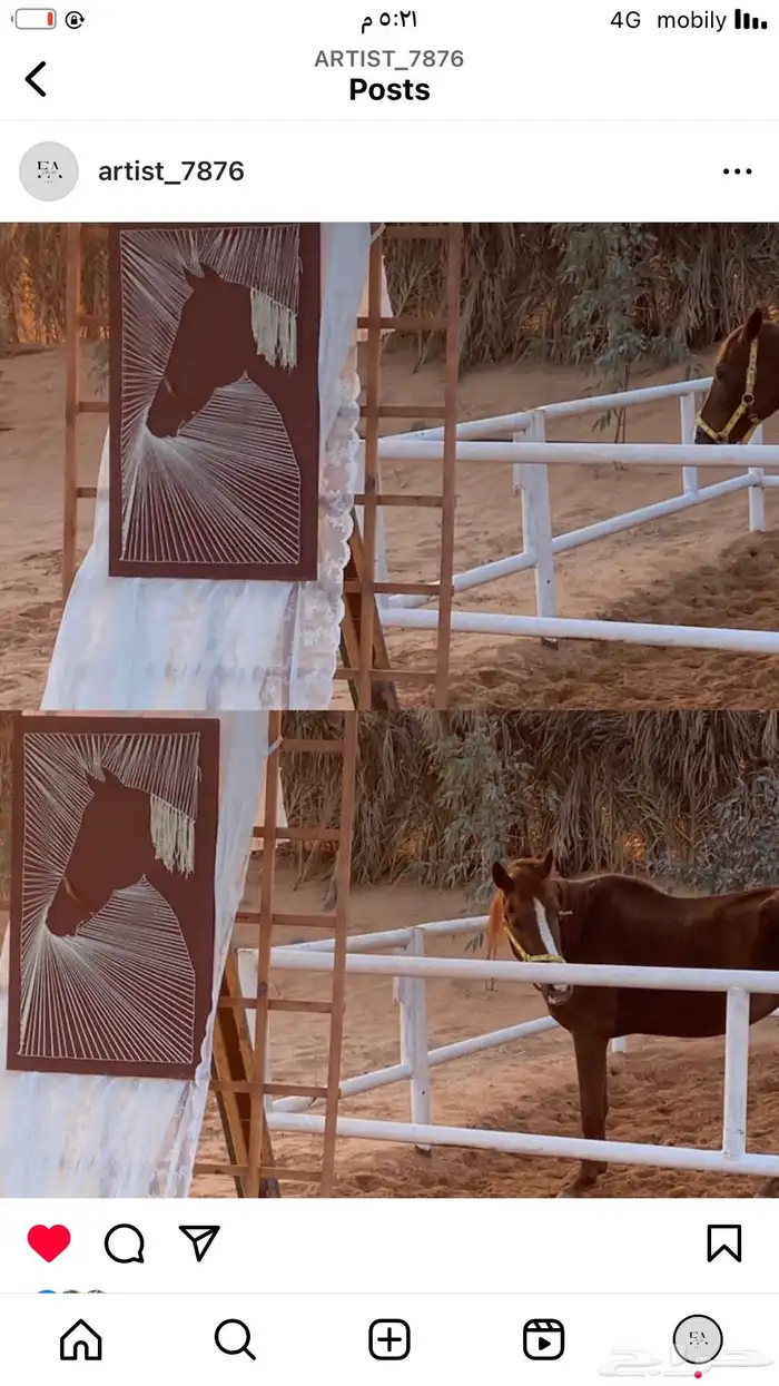 لوحات جداريه تناسب المجالس المودرن. والكلاسك تناسب الصالات 5