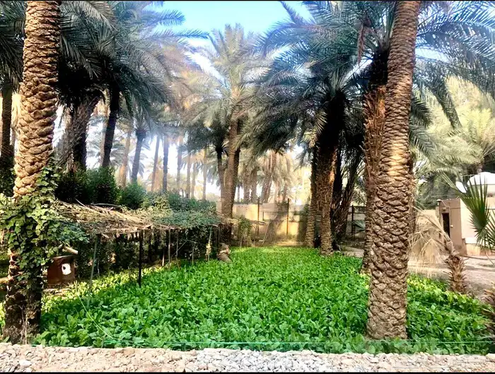 استراحة للايجار 11