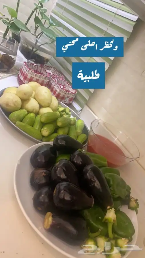 جميع انواع الطبخ المفرزنات 16