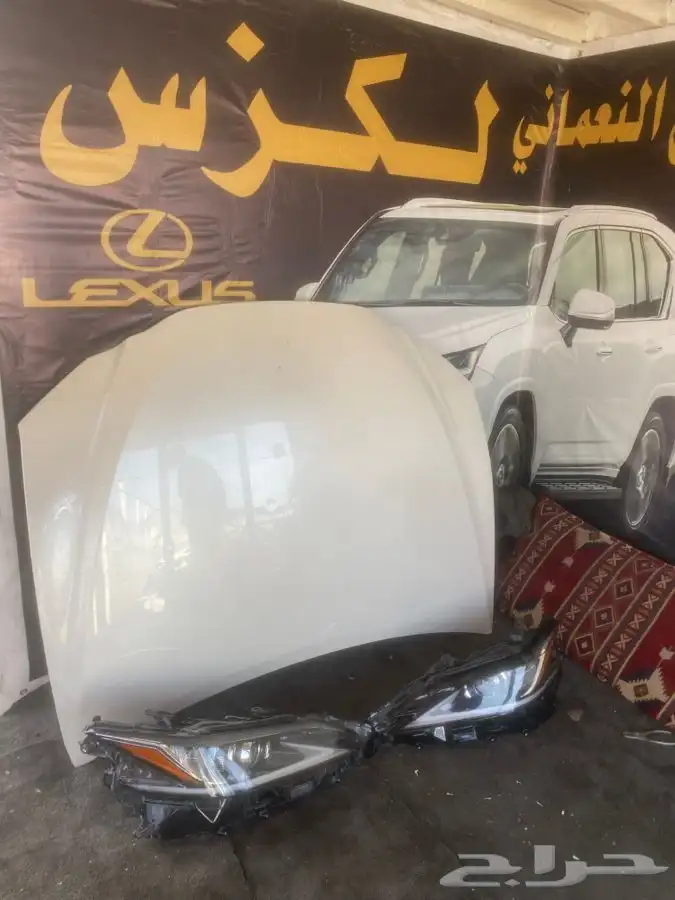 كبوت ابيض ES 2021 0