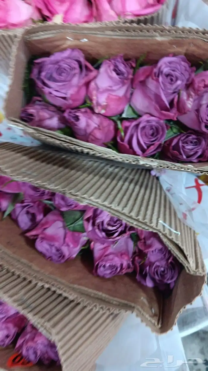 ورد جمله بسعر منافس 3