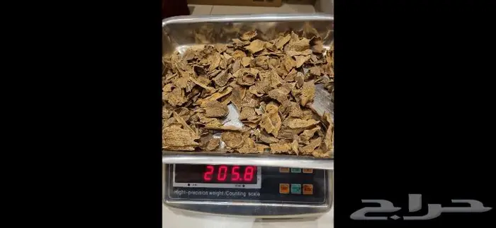 عود طبيعي سومطري 0