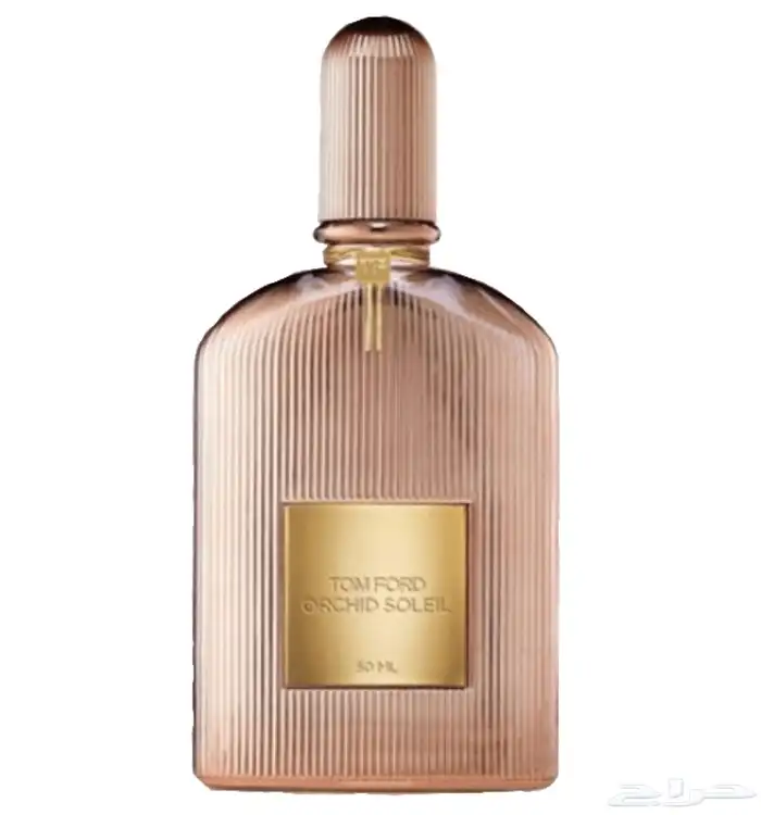 عطور ماستر البراندات 12