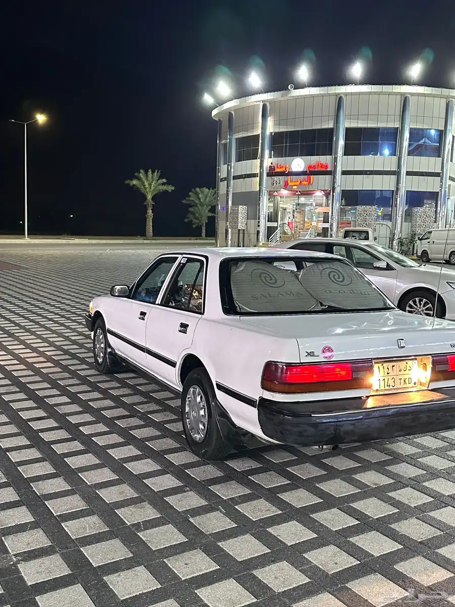كرسيدا 29