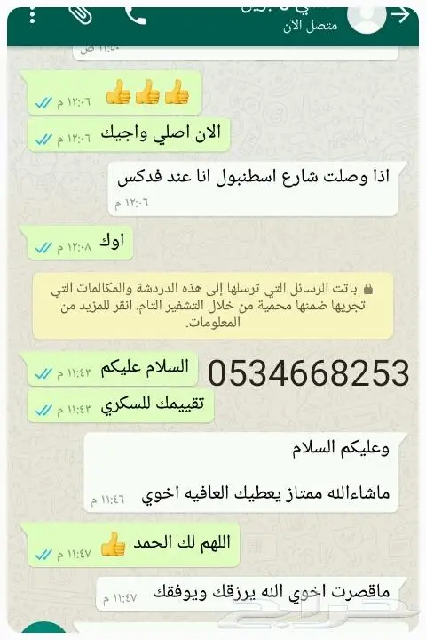 تمر سكري القصيم مجروش فاخر بسكوت حلاوة بقر 5