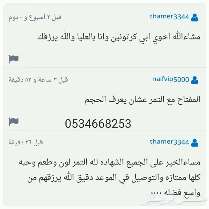 تمر سكري القصيم مجروش فاخر بسكوت حلاوة بقر 30