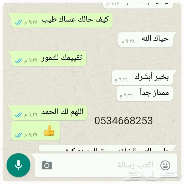تمر سكري القصيم مجروش فاخر بسكوت حلاوة بقر 35