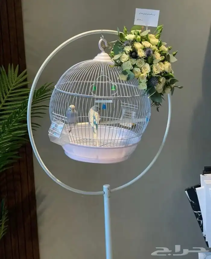 تنسيق هدايا ورد خميس مشيط ابها _توصيل ورد هدايا الجنوب 17