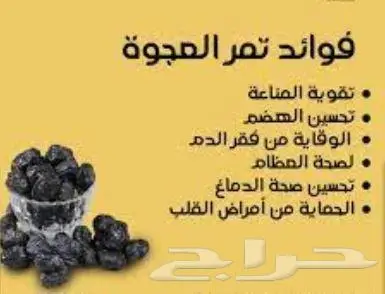 مشروط ونظيفه لجميع مدن المملكة 2