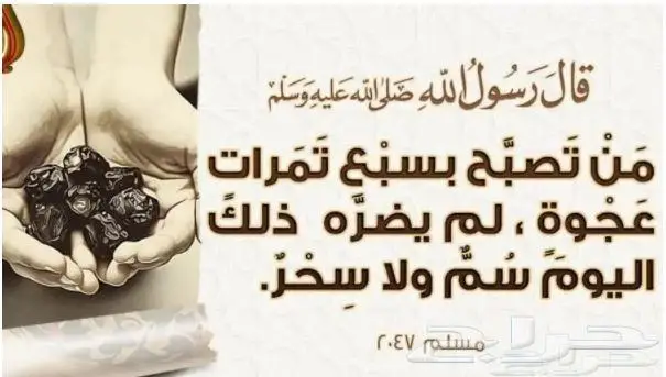 مشروط ونظيفه لجميع مدن المملكة 7