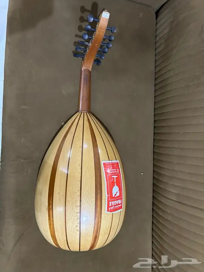 عود مصري 1