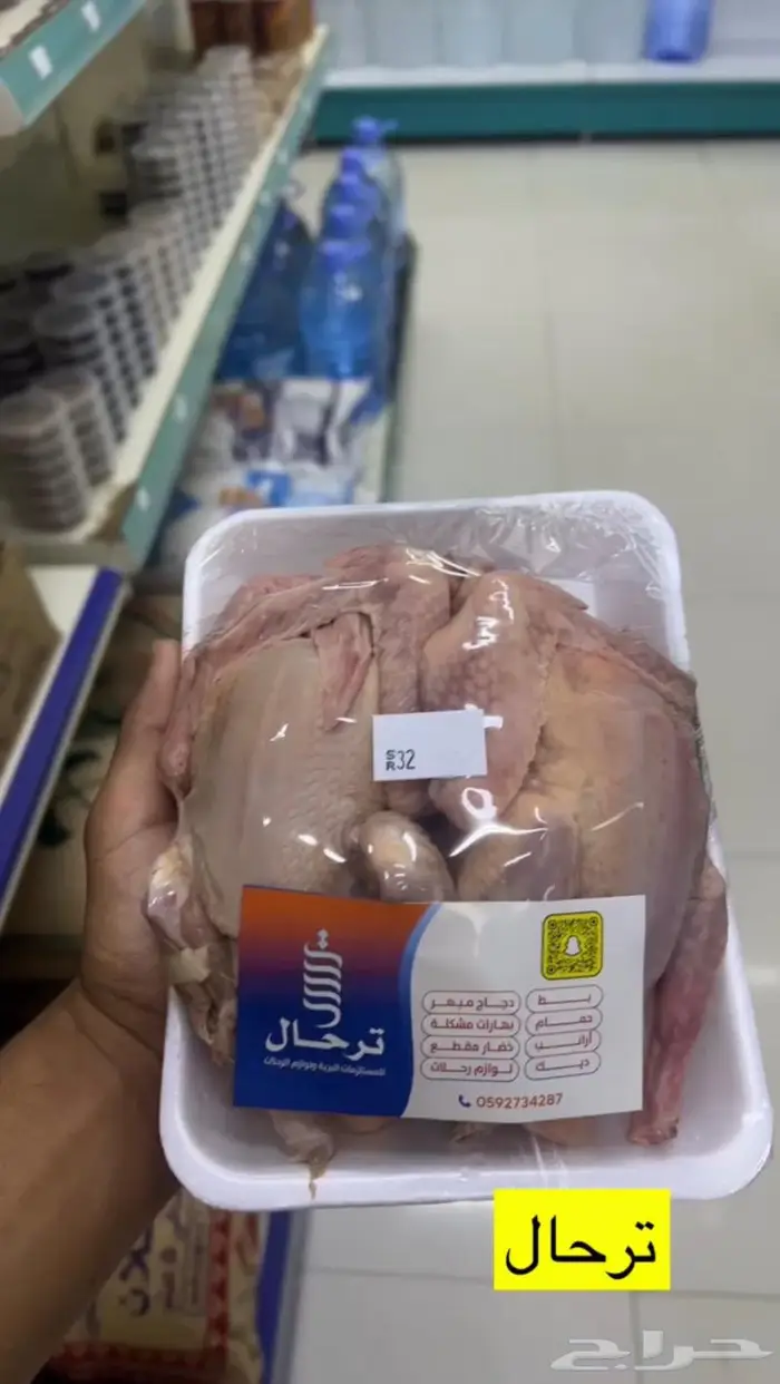 زغاليل ديوك بط 2