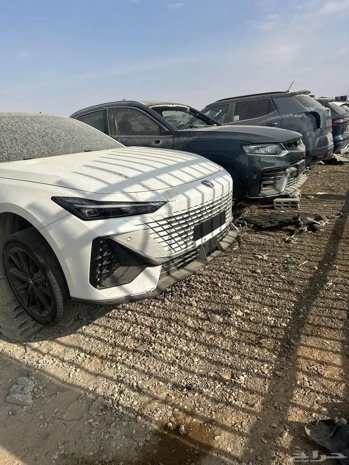 صيني 2