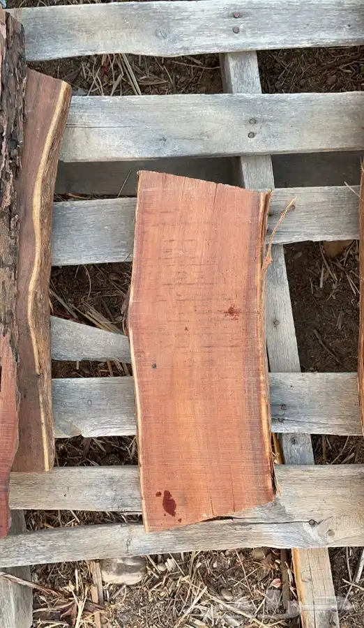 الواح خشب طبيعي غير معالج سلابات خشب اكاسيا 1