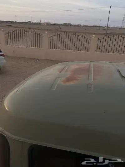 عايدي بوز للبيع 2
