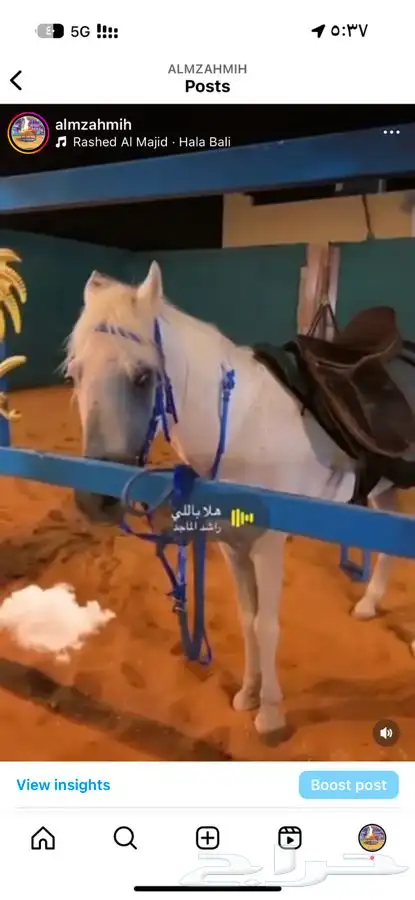 منتجع عرض مخيم مزرعه شاليه المزاحمية 17