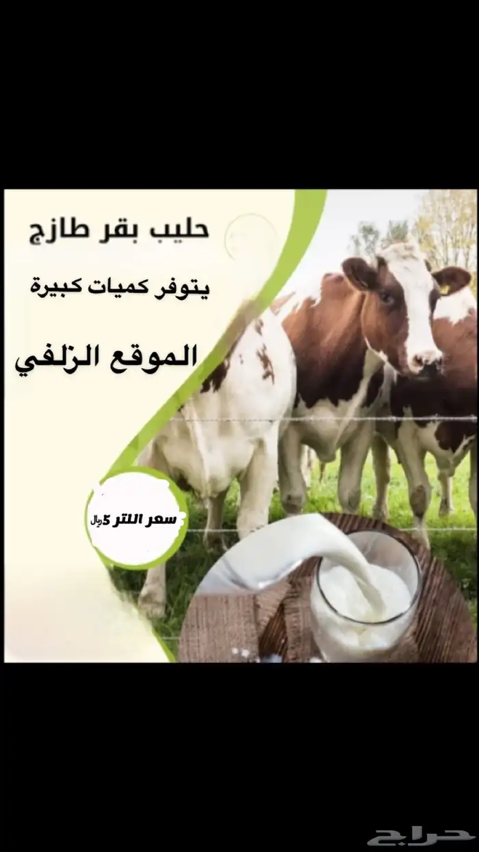 حليب بقر طازج وطبيعي ( الموقع الزلفي ) 0