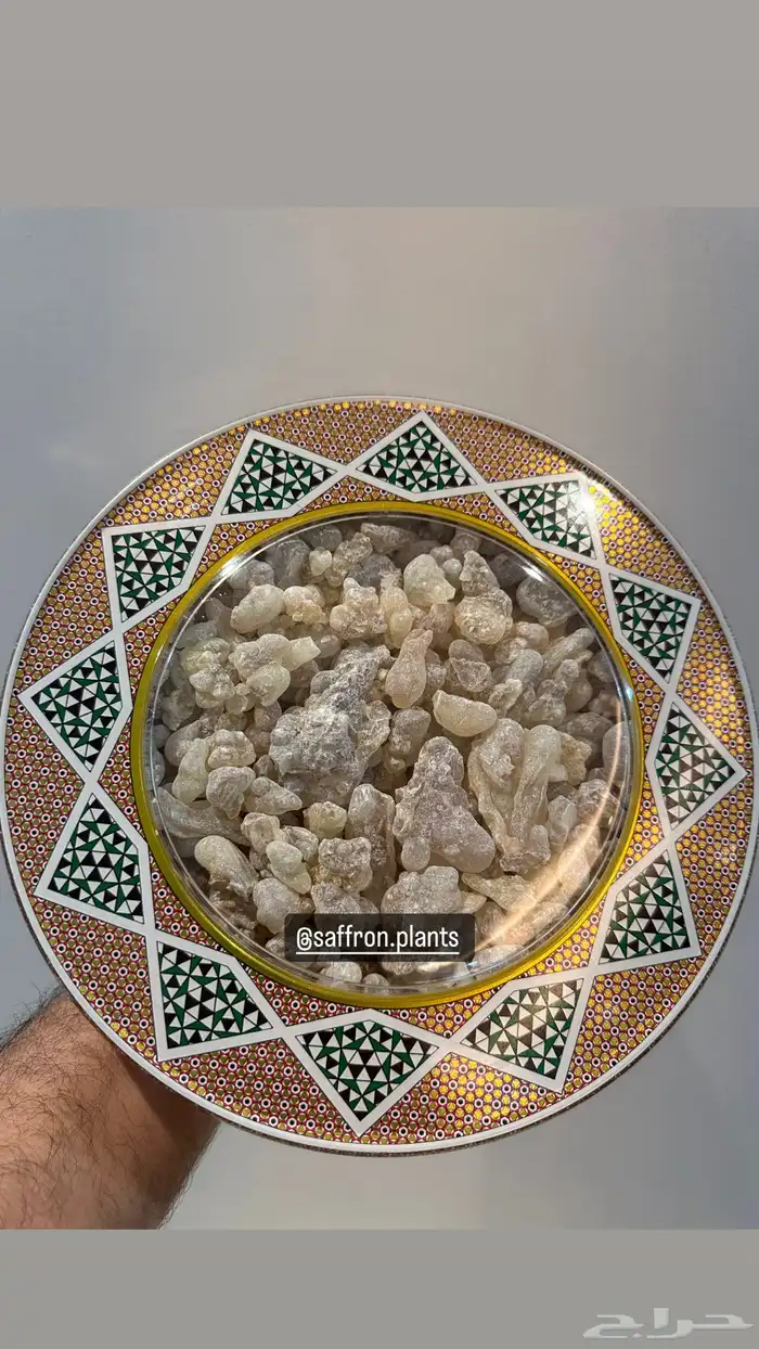 لبان عماني حوجري عالي الجودة ( جديد ) 2